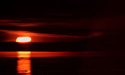 Image - 